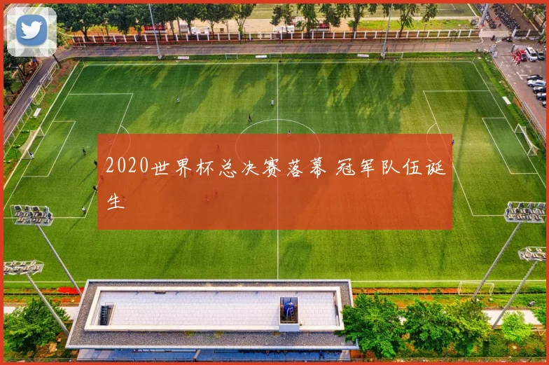 2020世界杯总决赛落幕 冠军队伍诞生