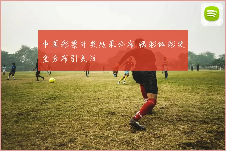 中国彩票开奖结果公布 福彩体彩奖金分布引关注