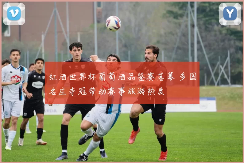 红酒世界杯葡萄酒品鉴赛落幕 多国名庄夺冠带动赛事旅游热度
