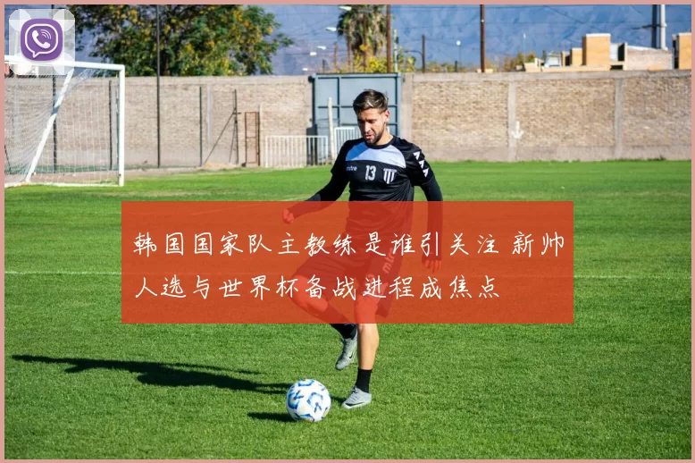 韩国国家队主教练是谁引关注 新帅人选与世界杯备战进程成焦点