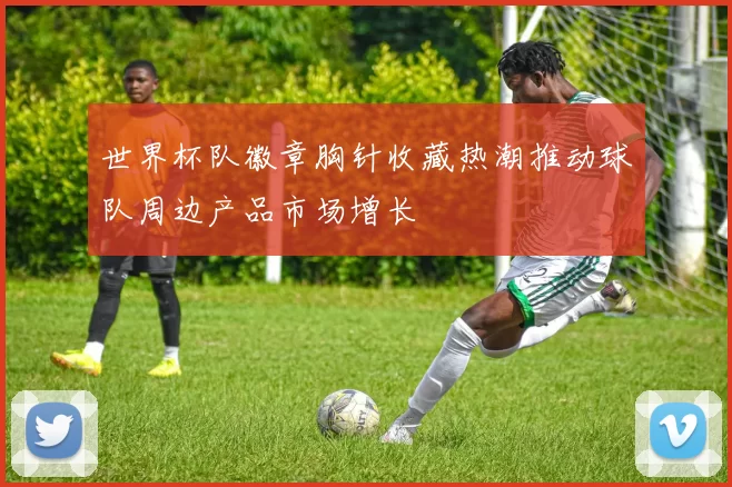 世界杯队徽章胸针收藏热潮推动球队周边产品市场增长