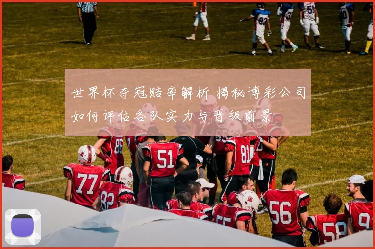 世界杯夺冠赔率解析 揭秘博彩公司如何评估各队实力与晋级前景